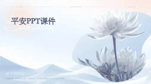 平安ppt课件