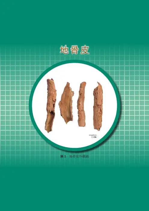地骨皮