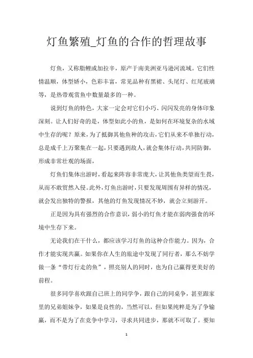 灯鱼繁殖_灯鱼的合作的哲理故事