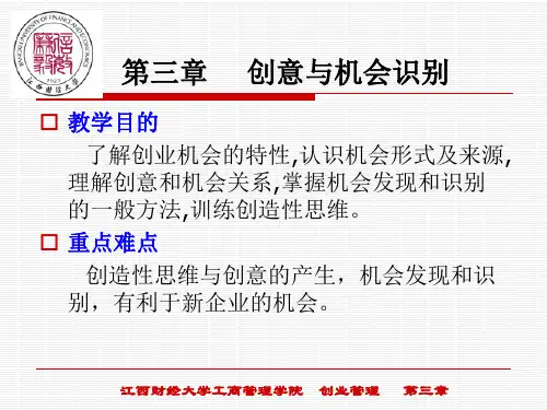 第三章 创意与创业机会