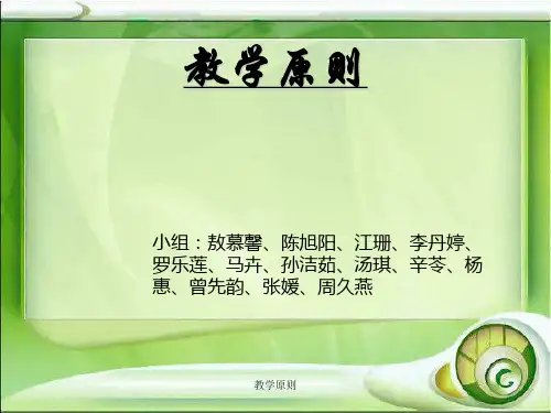 教学原则课件