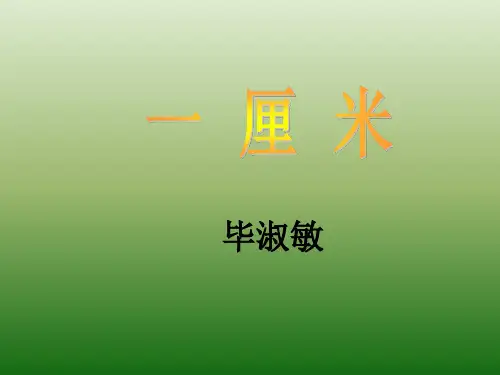 语文：2.6《一厘米》课件(1)(语文版九年级上册)(教学课件201909)