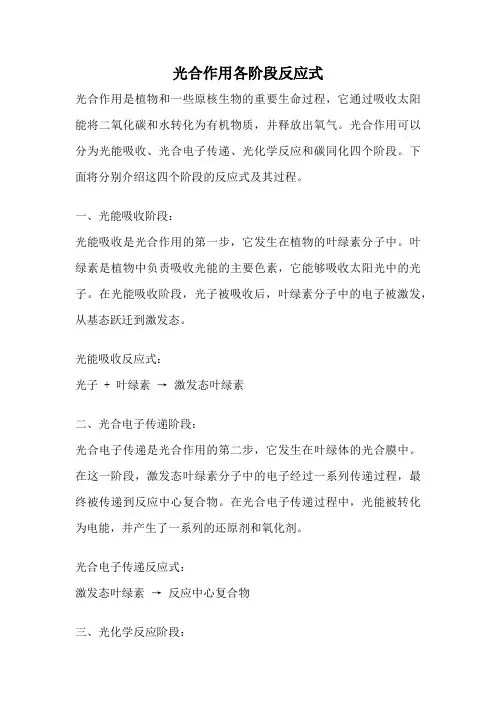 光合作用各阶段反应式