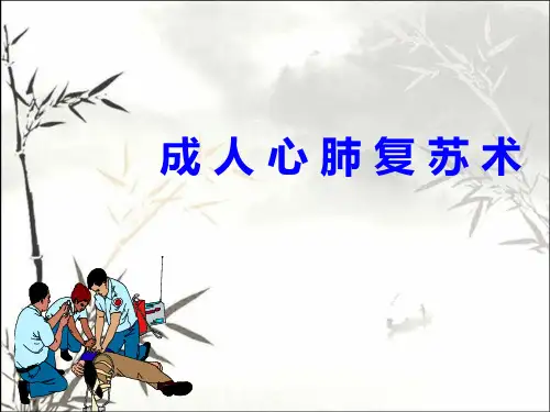 成人心搏骤停的基础生命支持 PPT