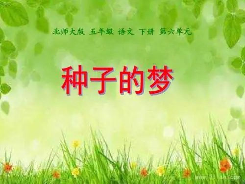 北师大版小学五年级下册语文《种子的梦》课件PPT
