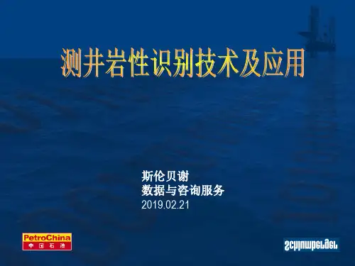 斯伦贝谢-测井岩性识别技术与应用(1)共32页