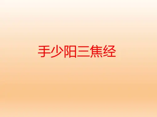 手少阳三焦经