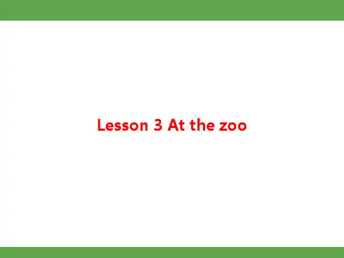 冀教版(2024)英语七年级上册 Lesson 3 At the zoo 知识梳理(课件)