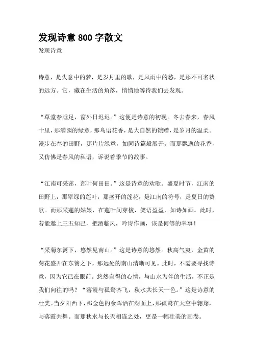 发现诗意800字散文