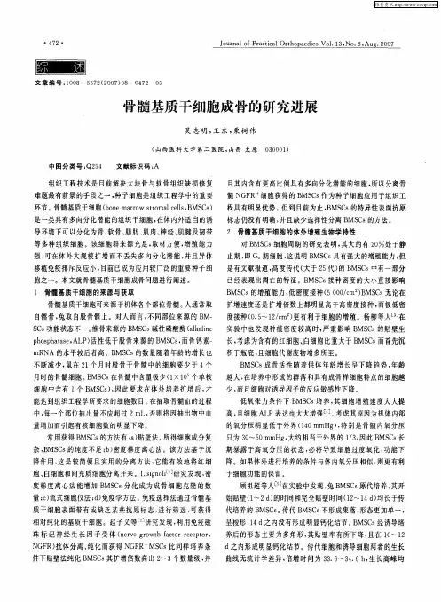 骨髓基质干细胞成骨的研究进展