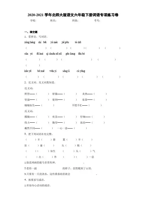 2020-2021学年北师大版语文六年级下册词语专项练习卷