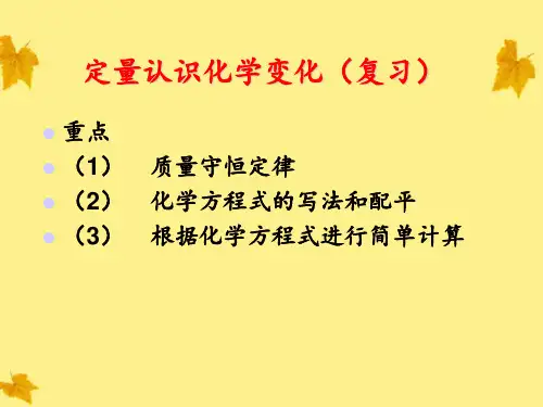 九年级化学-定量认识化学变化复习-沪教版PPT课件