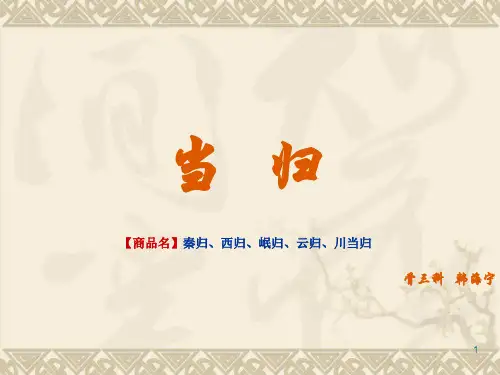 当归讲课版PPT课件