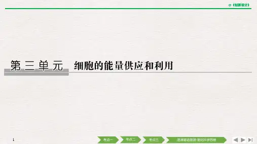 2020版创新设计高三生物一轮复习第7讲