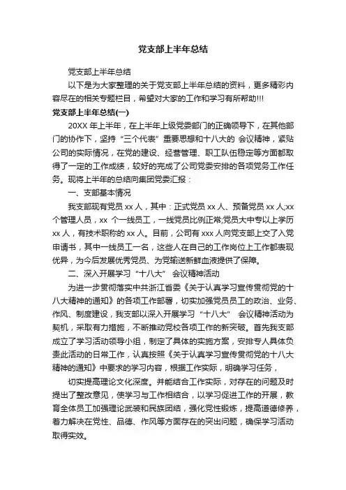 党支部上半年总结