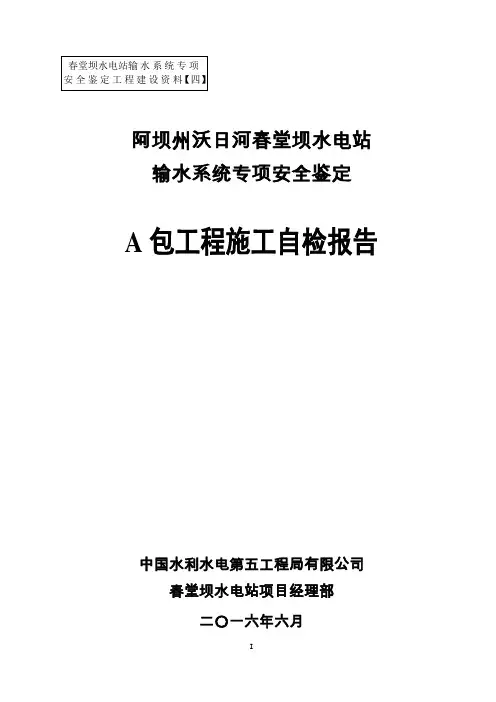 水电站输水系统专项安全鉴定施工自检报告