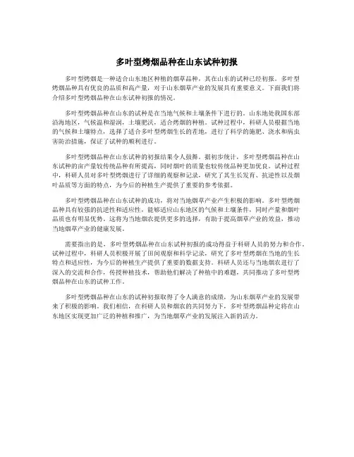 多叶型烤烟品种在山东试种初报