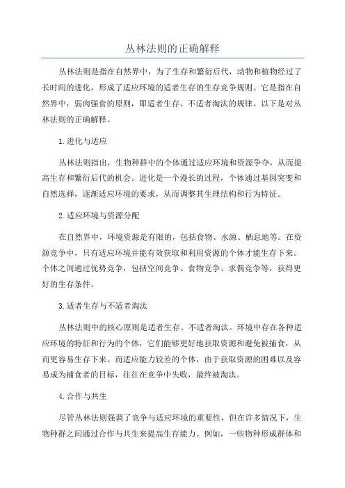 丛林法则的正确解释