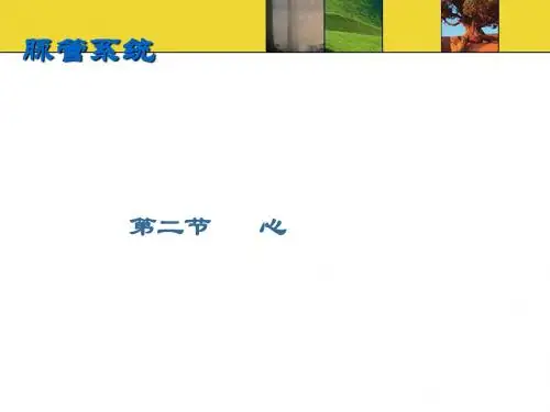 脉管系统--第二节心PPT课件
