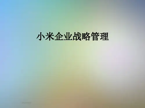 小米企业战略管理