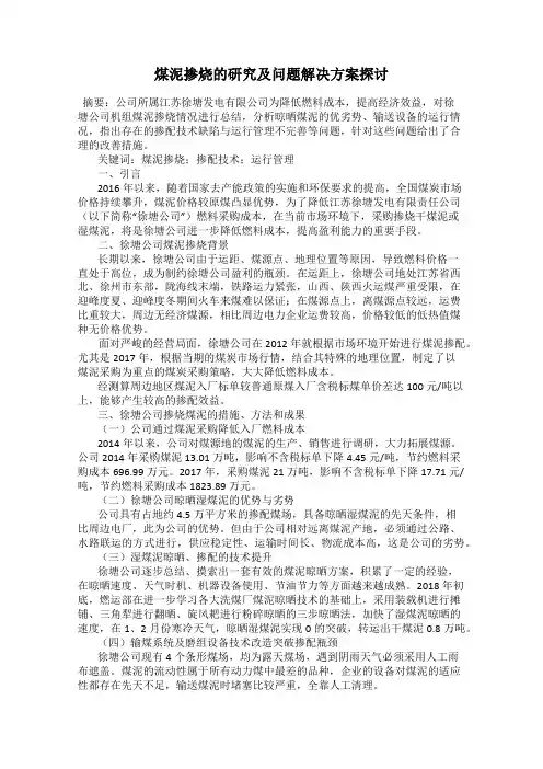 煤泥掺烧的研究及问题解决方案探讨