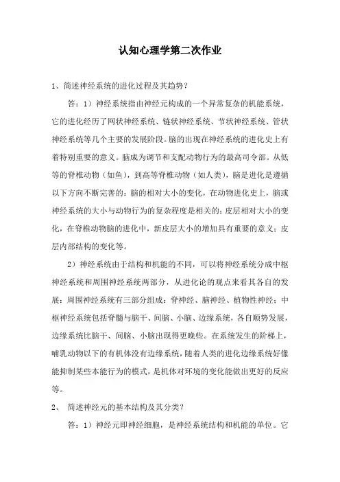 神经系统的进化过程及其趋势