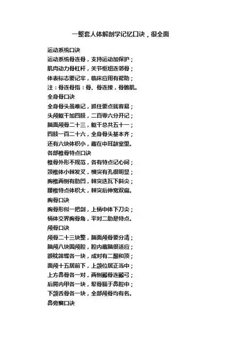 一整套人体解剖学记忆口诀，很全面