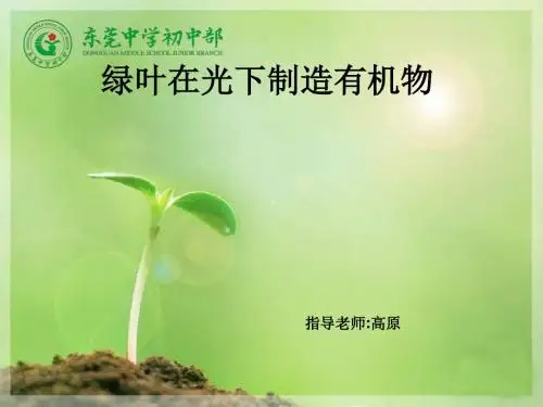 绿叶在光下制造有机物PPT课件