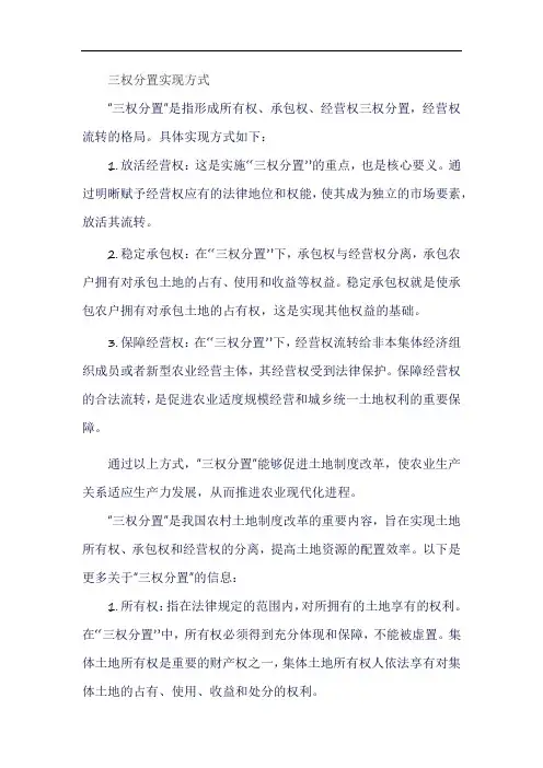 三权分置实现方式