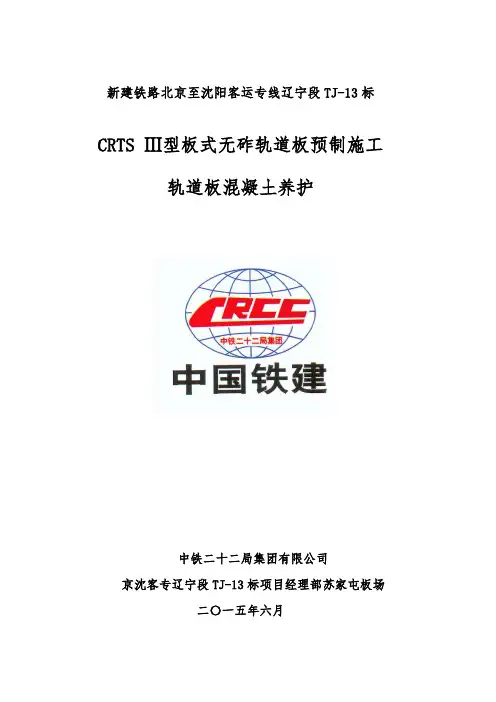 7CRTSIII型轨道板养护技术交底