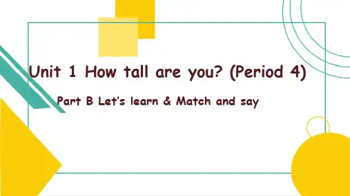 Unit 1How tall are you Part B课件-六年级英语下学期