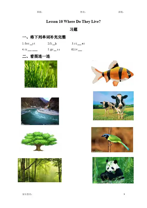 冀教版(三起)三年级英语下册lesson 10 where do they live？课后练习题二