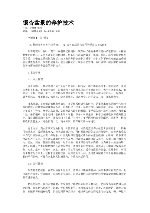 银杏盆景的养护技术