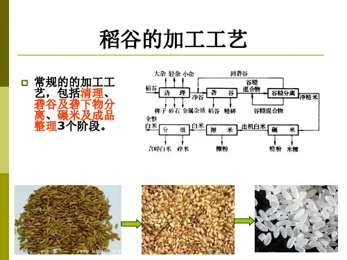 第2章稻谷制米
