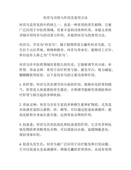 何首乌功效与作用及食用方法