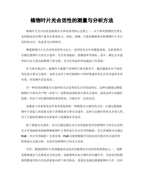 植物叶片光合活性的测量与分析方法