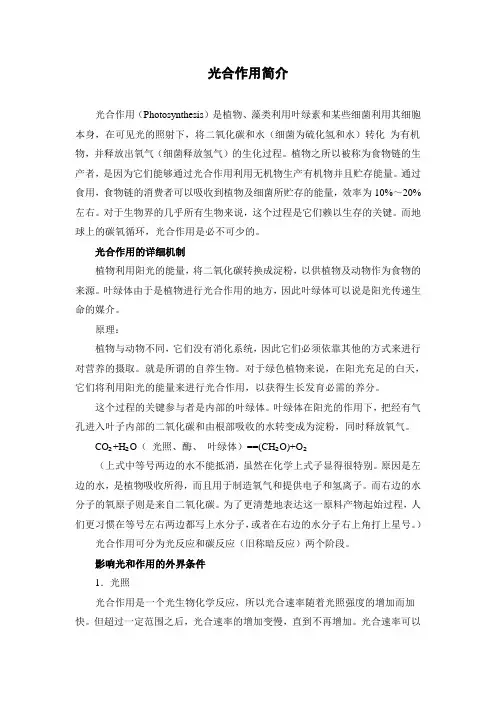 人教部编版 科学 三年级 茎叶的生长拓展资料-光合作用简介