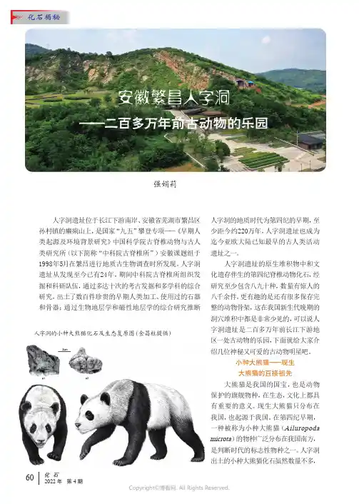 安徽繁昌人字洞——二百多万年前古