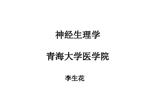 神经生理学