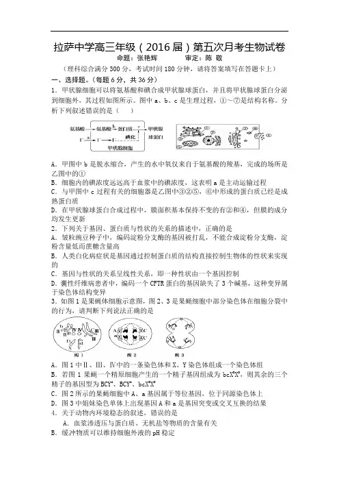 西藏拉萨中学高三第五次月考理综试卷 Word版含答案