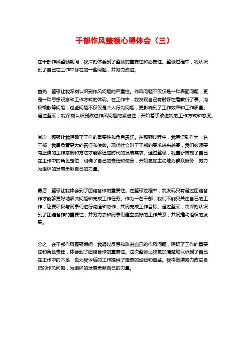 干部作风整顿心得体会(三)