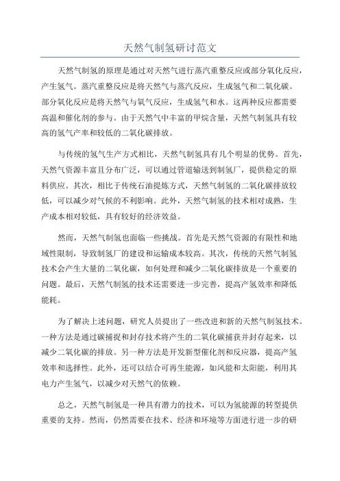 天然气制氢研讨范文