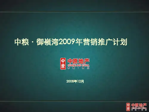 中粮年度营销推广策划书