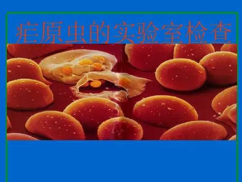 疟原虫的实验诊断与防治
