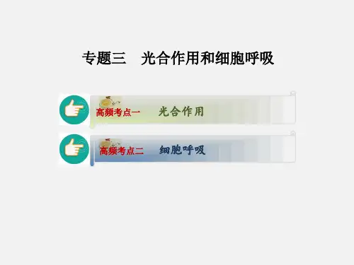 高考生物 二轮复习 专题3 光合作用和细胞呼吸