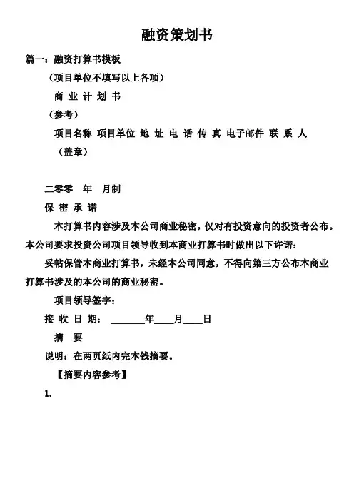 融资策划书doc