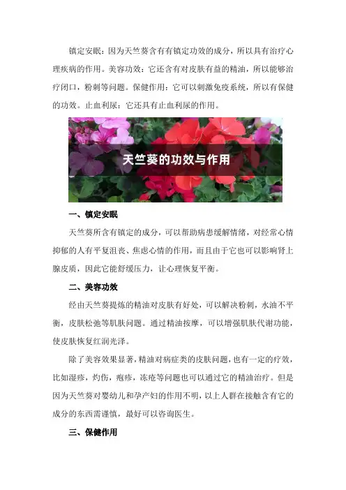 天竺葵的功效与作用