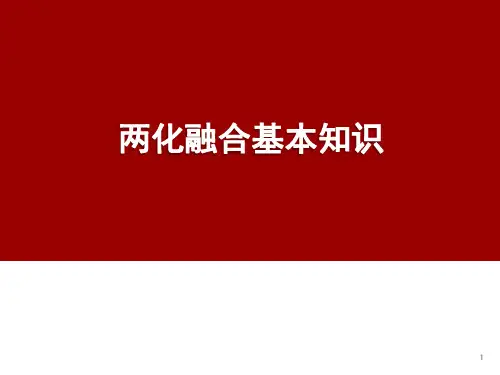 贯标培训材料1-两化融合基本知识_0822