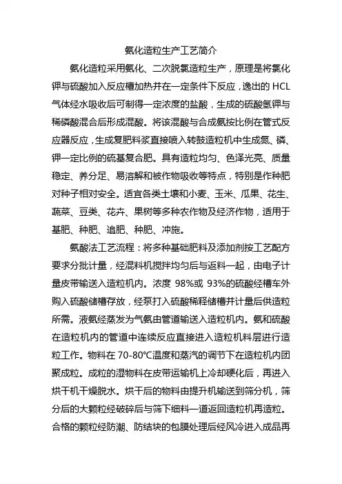 氨化造粒生产工艺简介