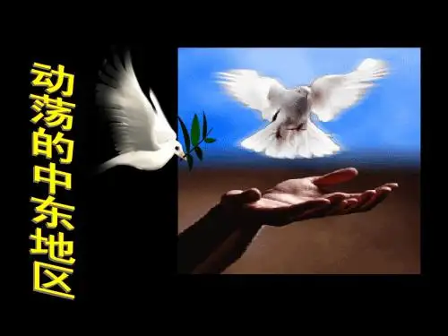 人教版九年级下历史课件第13课 动荡的中东地区课件【51ppt】